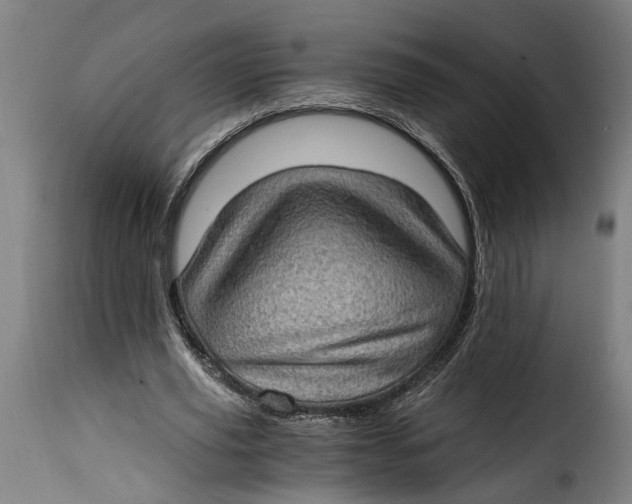 X0000115280629200911201752