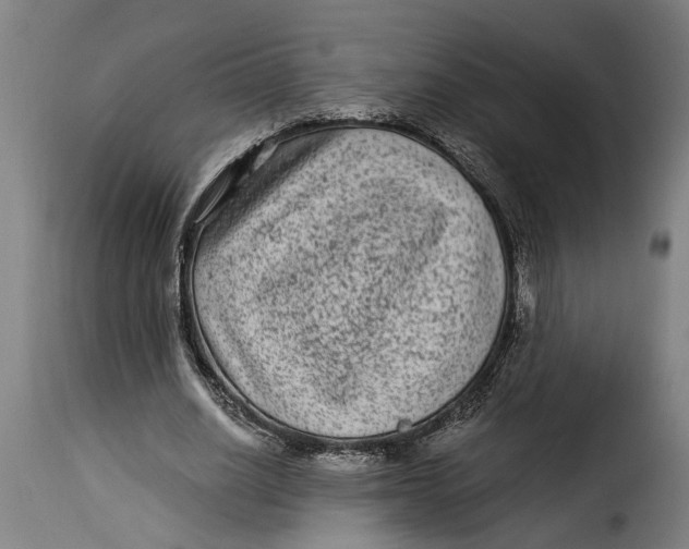 X0000115280630200911201752