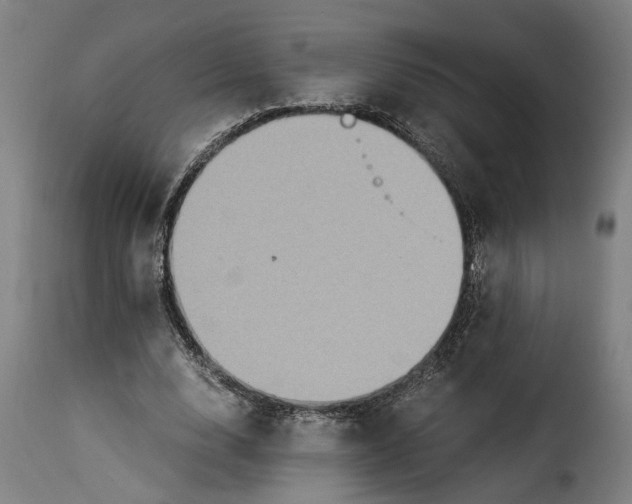 X0000115280632200911201752