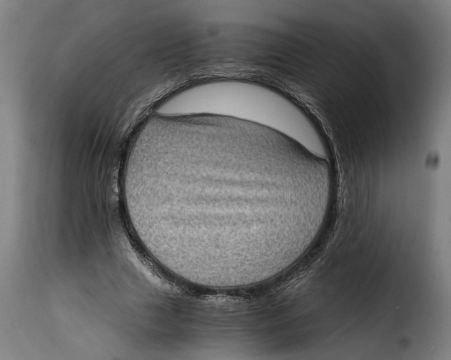 X0000115280633200911201752