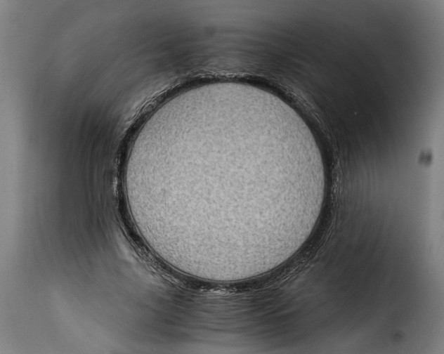 X0000115280635200911201753