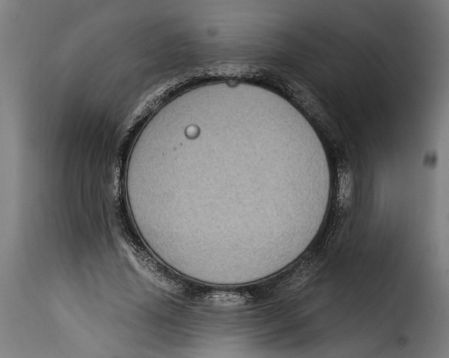 X0000115280636200911201753