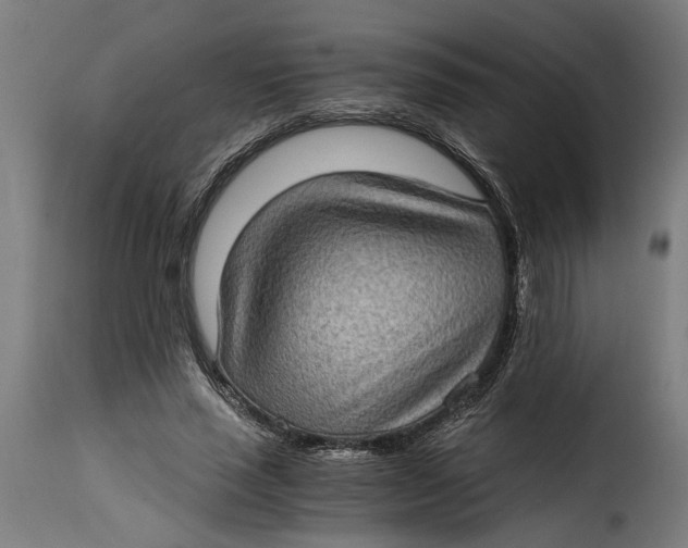 X0000115280637200911201753