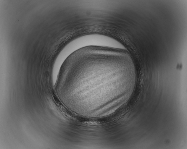 X0000115280639200911201753