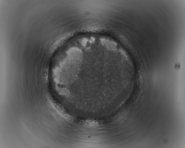 X0000115280640200911201753