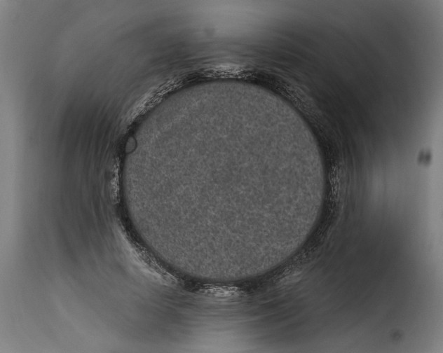 X0000115280642200911201753