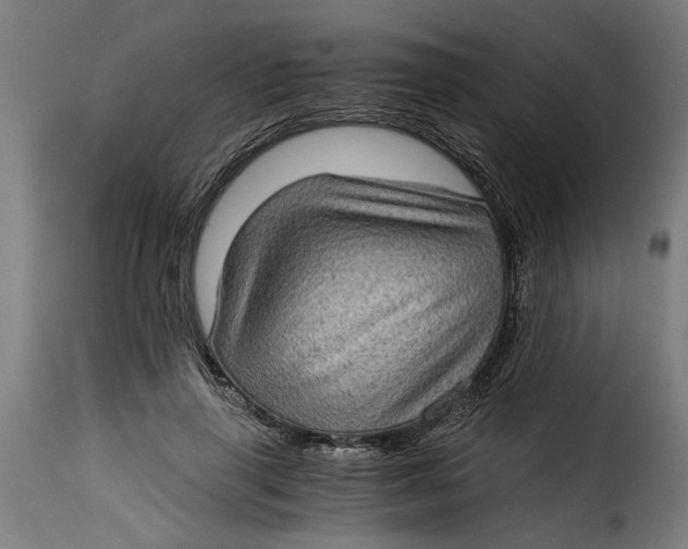 X0000115280645200911201753