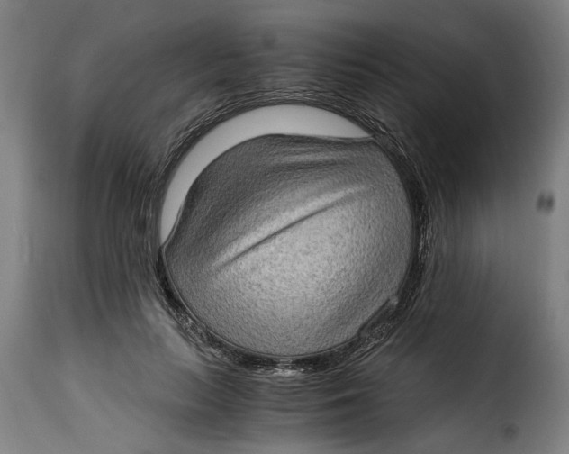 X0000115280647200911201753