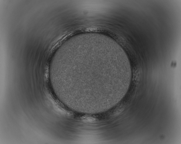 X0000115280648200911201753