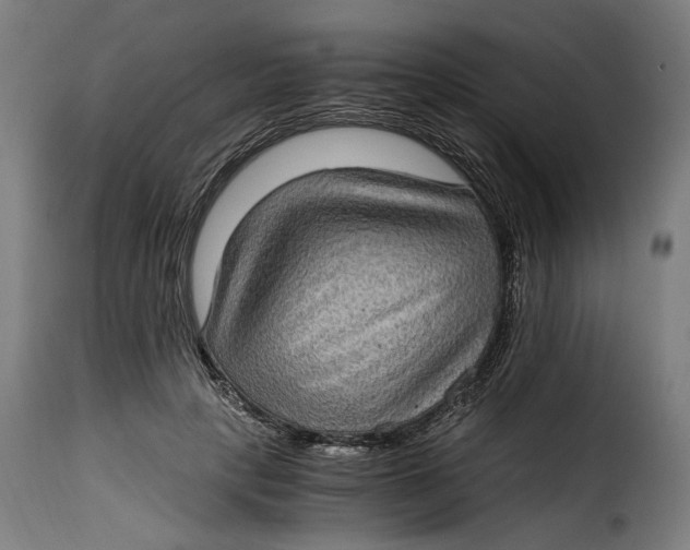 X0000115280649200911201753