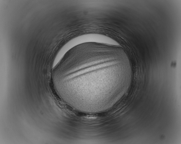 X0000115280651200911201753