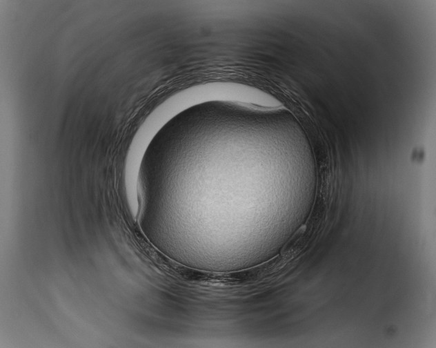 X0000115280655200911201753