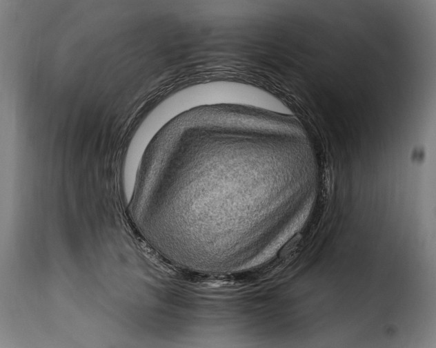 X0000115280657200911201753