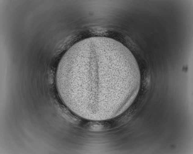 X0000115280658200911201753