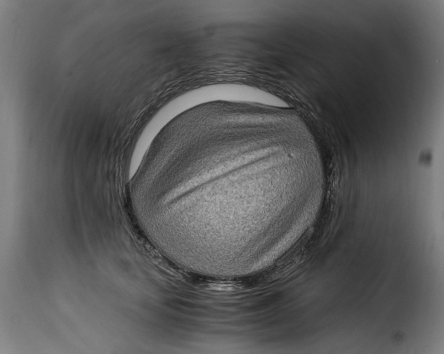 X0000115280659200911201753