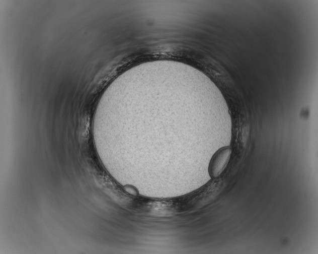 X0000115280660200911201753