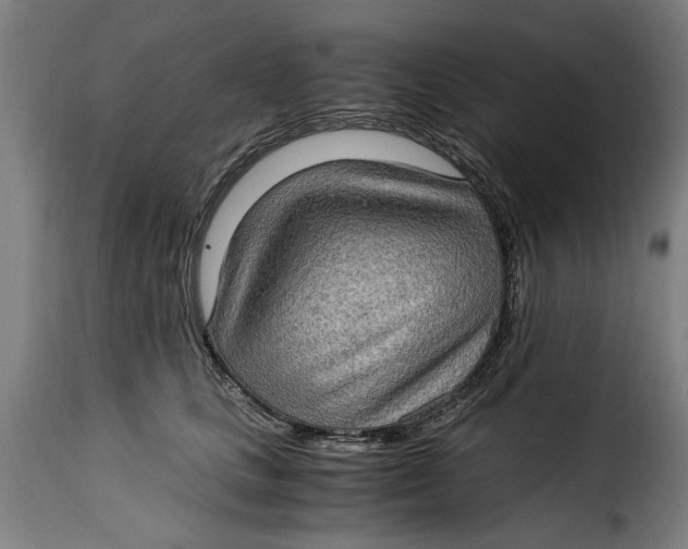 X0000115280661200911201753