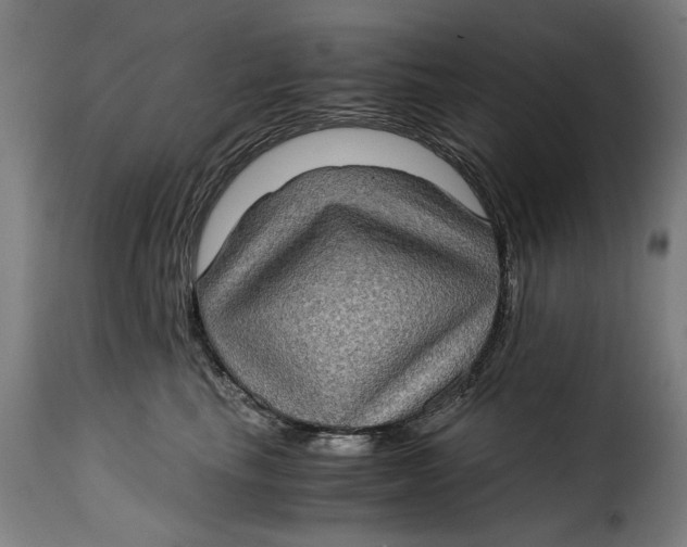 X0000115280665200911201753