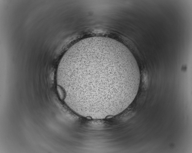 X0000115280668200911201753