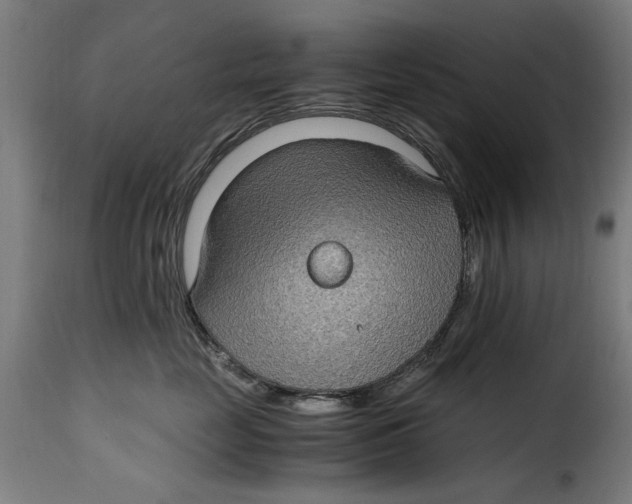 X0000115280669200911201753