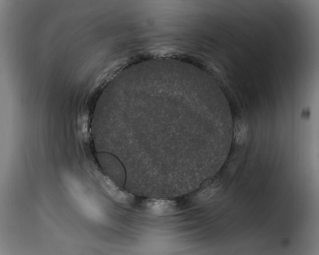 X0000115280670200911201753