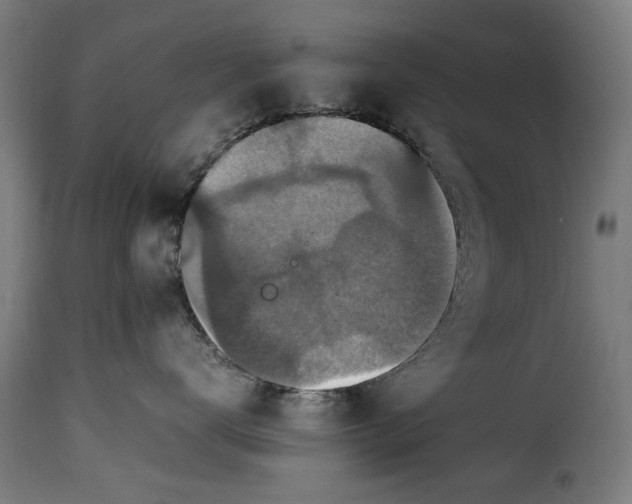 X0000115280672200911201753