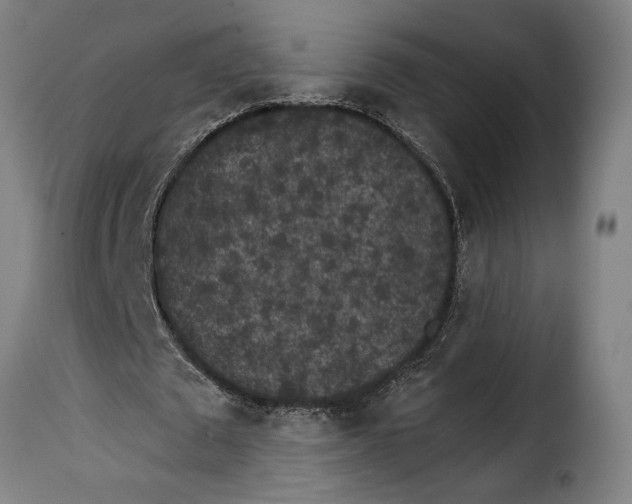 X0000115280673200911201752