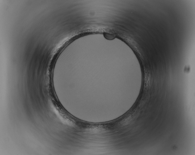 X0000115280674200911201752