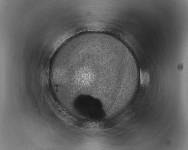 X0000115280675200911201752