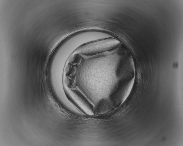 X0000115280676200911201752