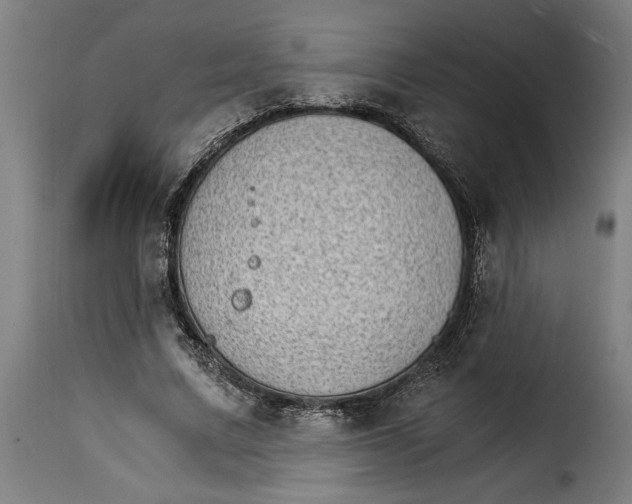 X0000115280683200911201752