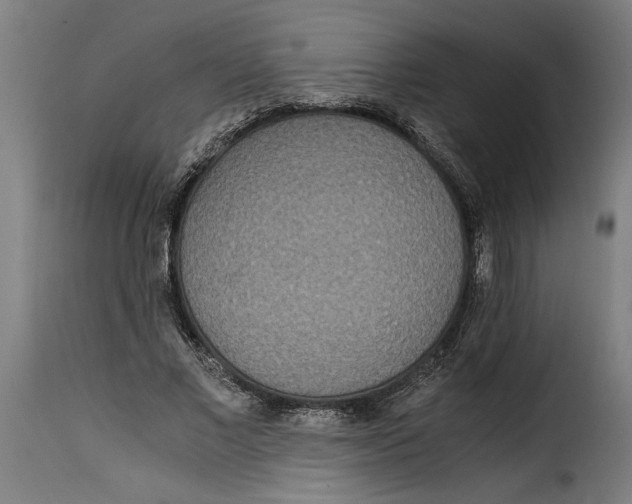 X0000115280685200911201752