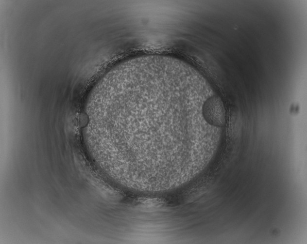 X0000115280689200911201752