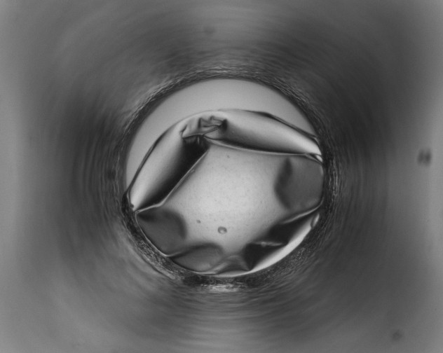 X0000115280692200911201752