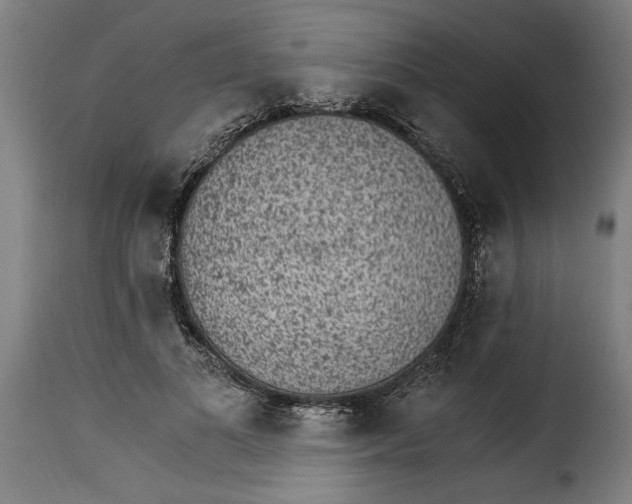 X0000115280693200911201752