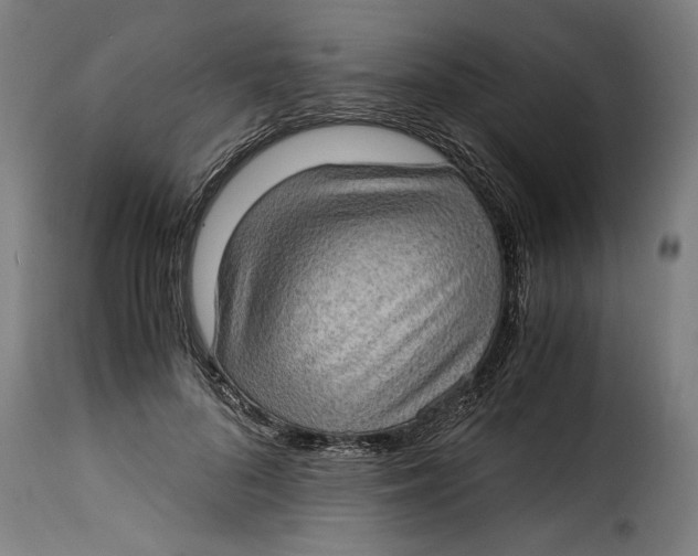 X0000115280696200911201752