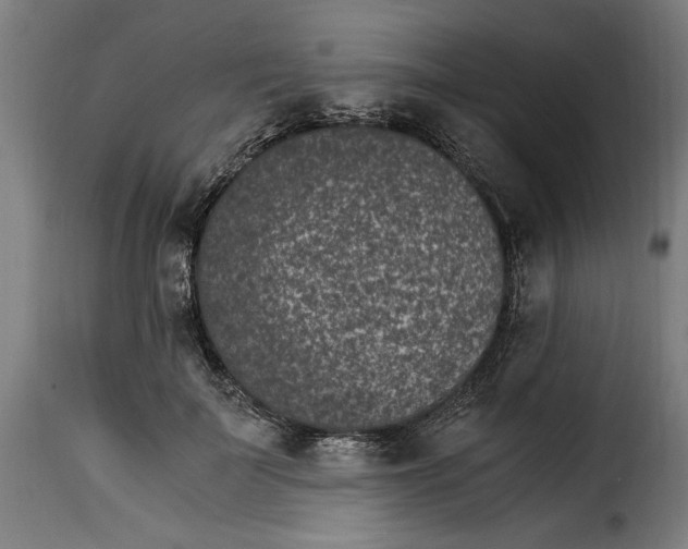 X0000115280699200911201752