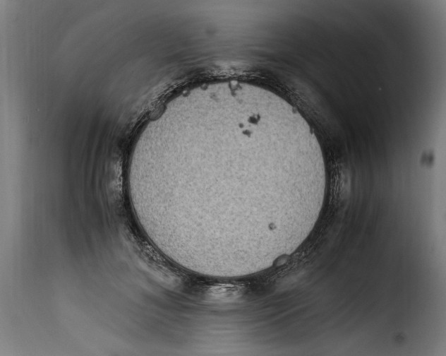 X0000115280700200911201752