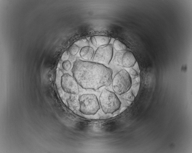 X0000115280701200911201752