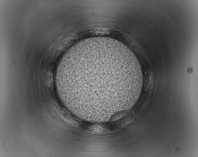 X0000115280704200911201752