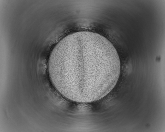 X0000115280707200911201752