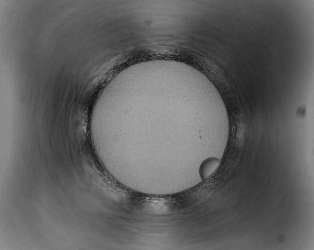 X0000115280710200911201752