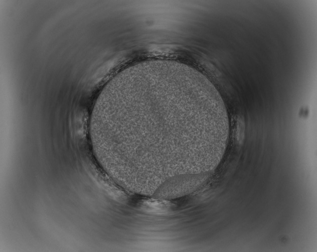 X0000115280712200911201752