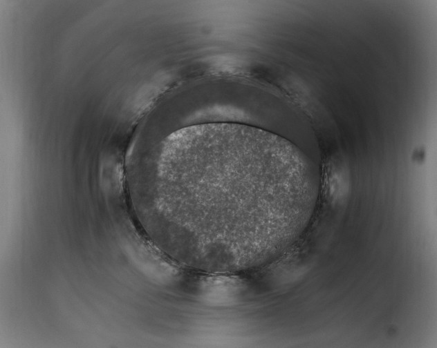 X0000115280716200911201752