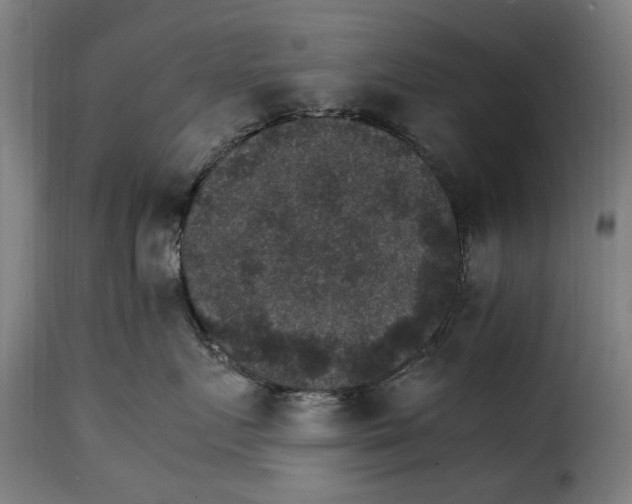 X0000115280719200911201752