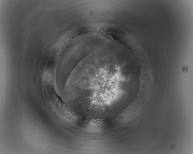 X0000115280720200911201752