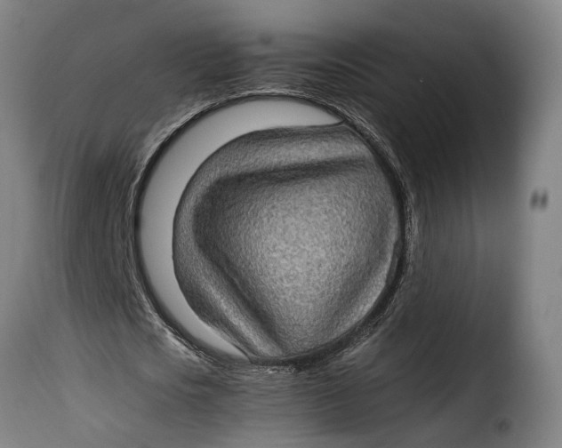 X0000115280721200911201751