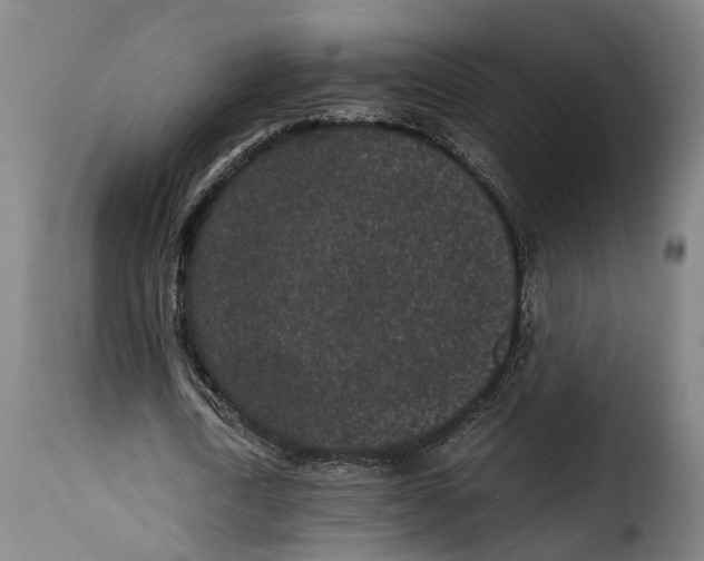 X0000115280722200911201751