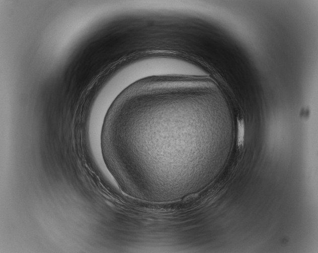 X0000115280723200911201751