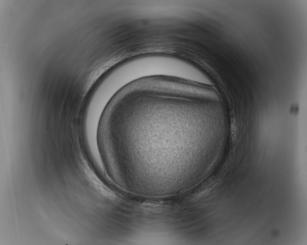 X0000115280725200911201751